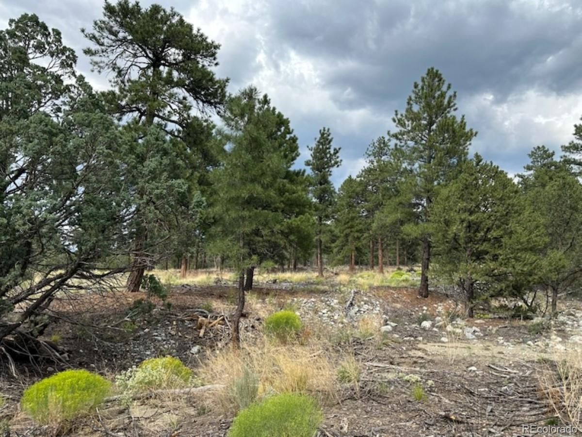 22 Cub Creek Road Mosca, CO 81146 - Photo 10 of 15