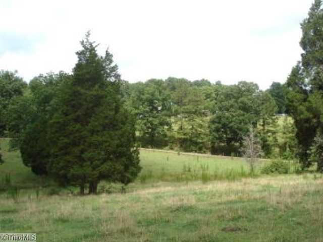 3158 Jamie Davis Road Sophia, NC 27350 - Photo 15 of 16 Other. Pasture