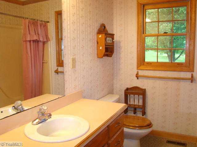 3158 Jamie Davis Road Sophia, NC 27350 - Photo 10 of 16 Other. Hall Bathroom