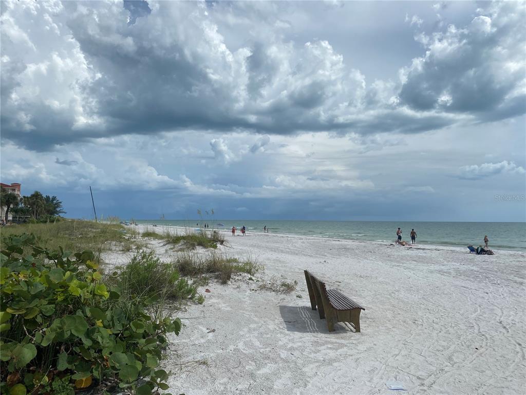 Whispering Pines Drive Indian Rocks Beach, FL 33785 - Photo 12 of 61