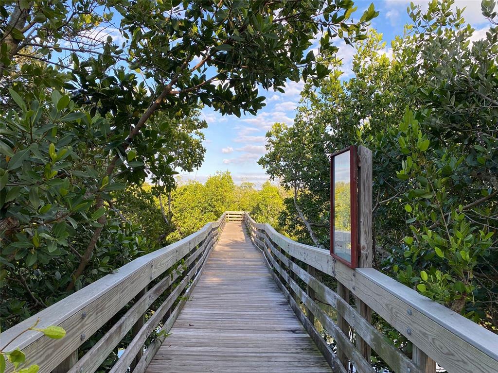Whispering Pines Drive Indian Rocks Beach, FL 33785 - Photo 37 of 61