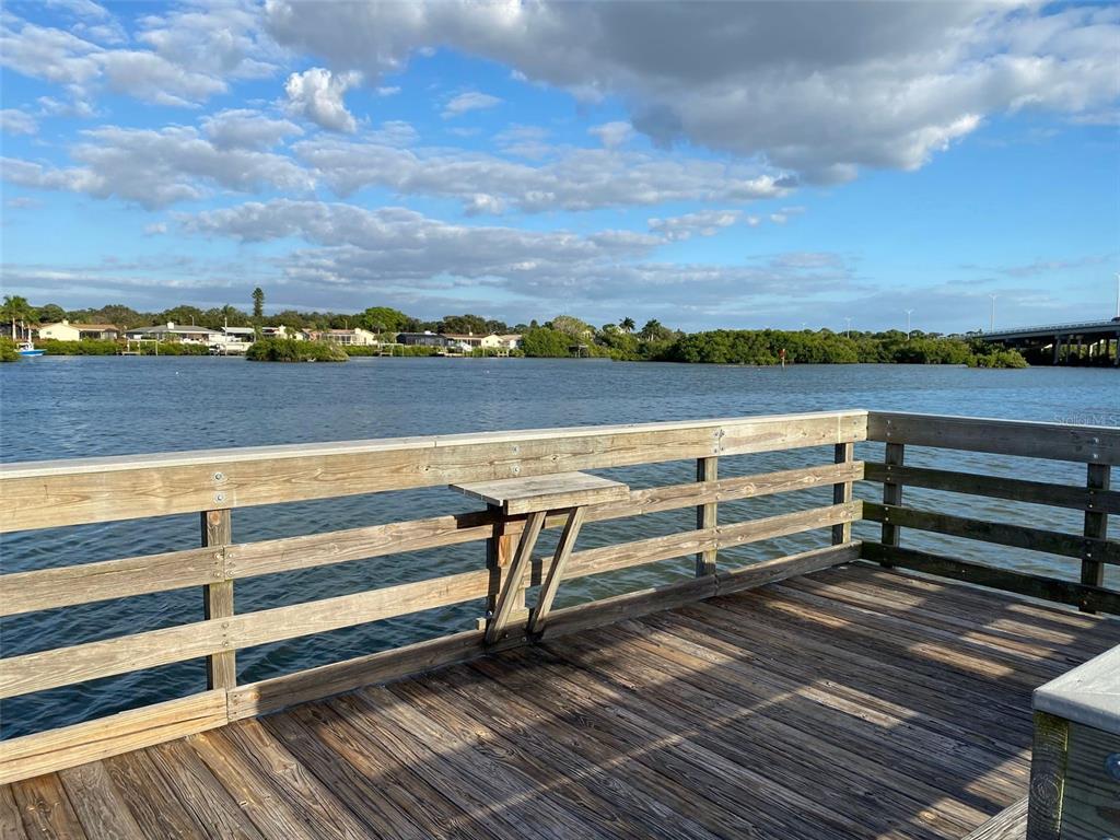 Whispering Pines Drive Indian Rocks Beach, FL 33785 - Photo 39 of 61
