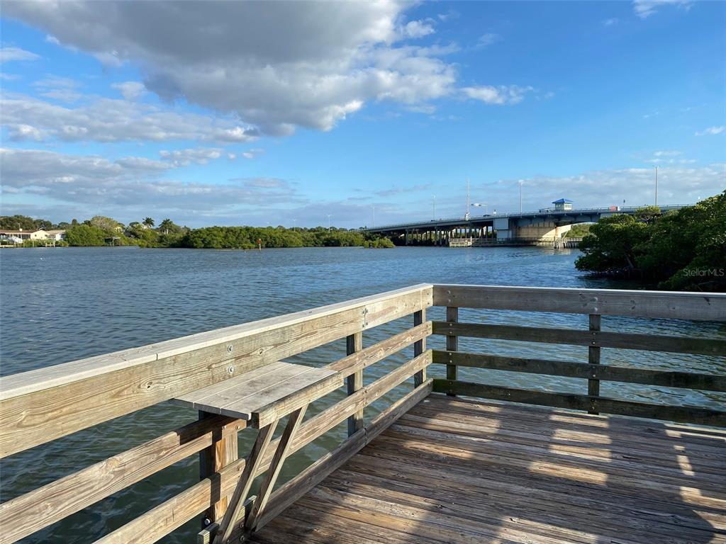 Whispering Pines Drive Indian Rocks Beach, FL 33785 - Photo 41 of 61
