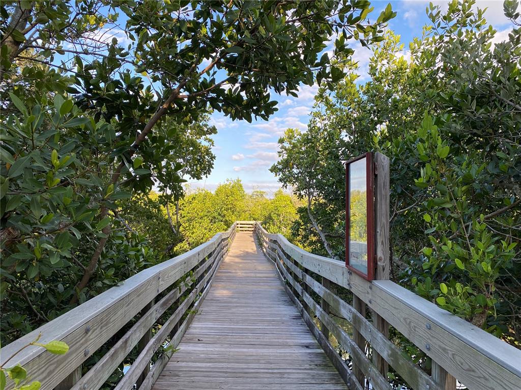 Whispering Pines Drive Indian Rocks Beach, FL 33785 - Photo 51 of 61