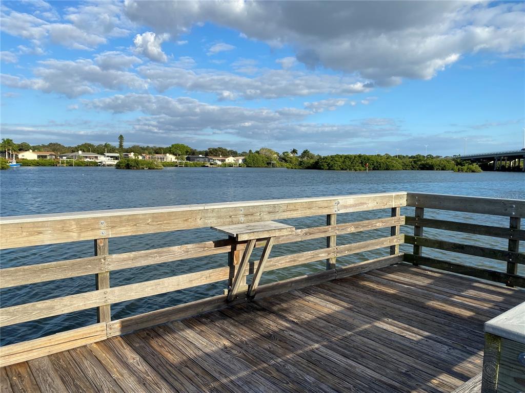 Whispering Pines Drive Indian Rocks Beach, FL 33785 - Photo 54 of 61