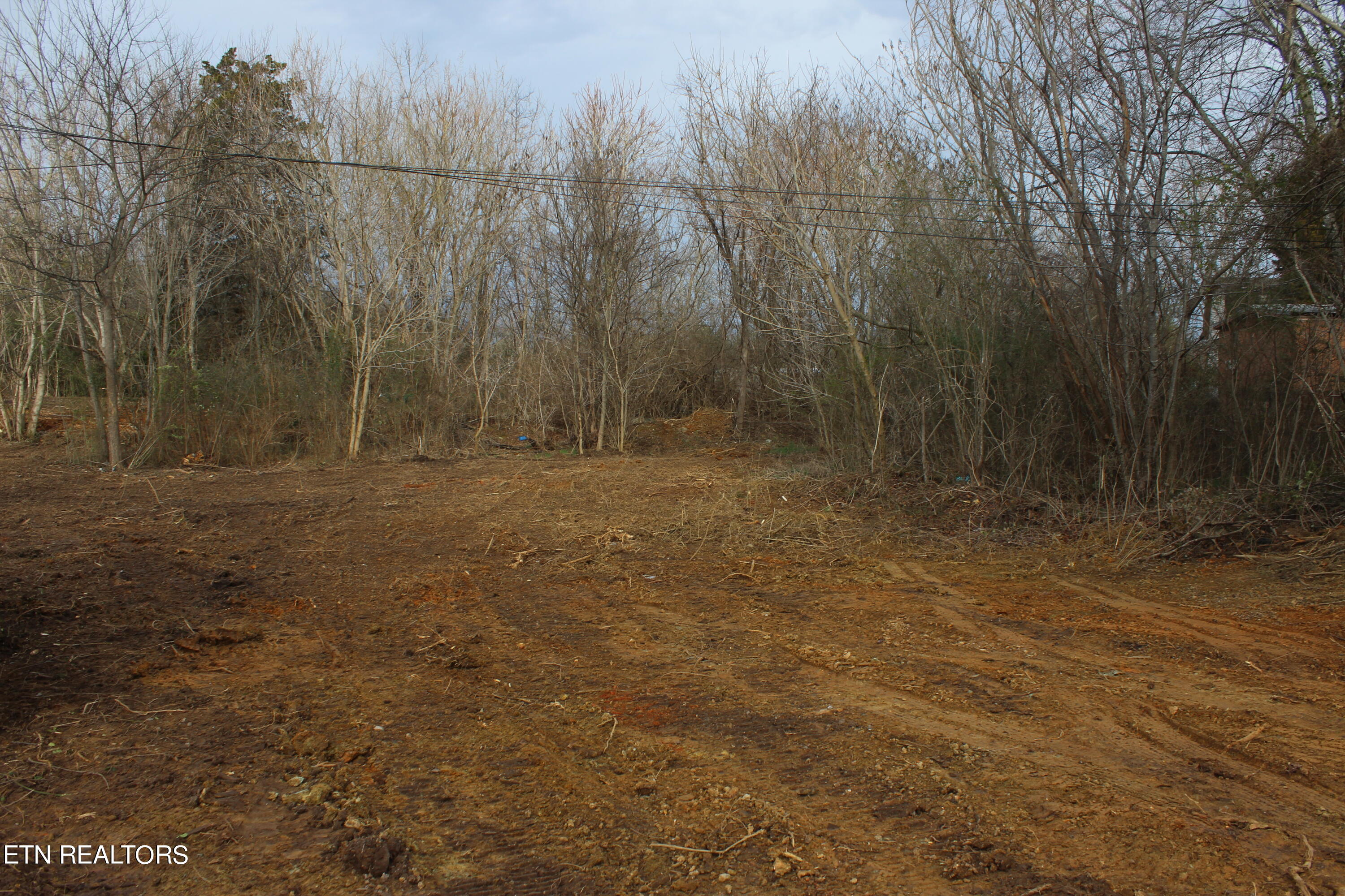 8605 Childress Road Powell, TN 37849 - Photo 3 of 8 IMG_0727