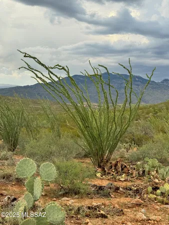 $350,000 | 0 Justa Road, Vail, AZ 85641