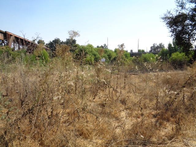 a view of a field of grass and trees