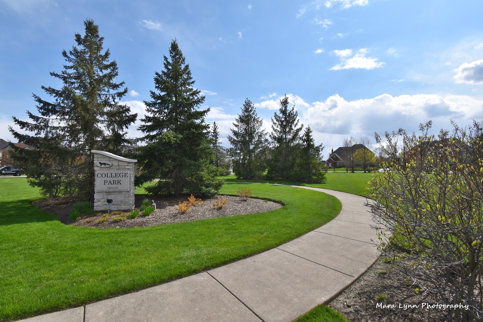 3N853 Walt Whitman Road Campton Hills, IL 60175 - Photo 2 of 48 a view of a garden with large trees