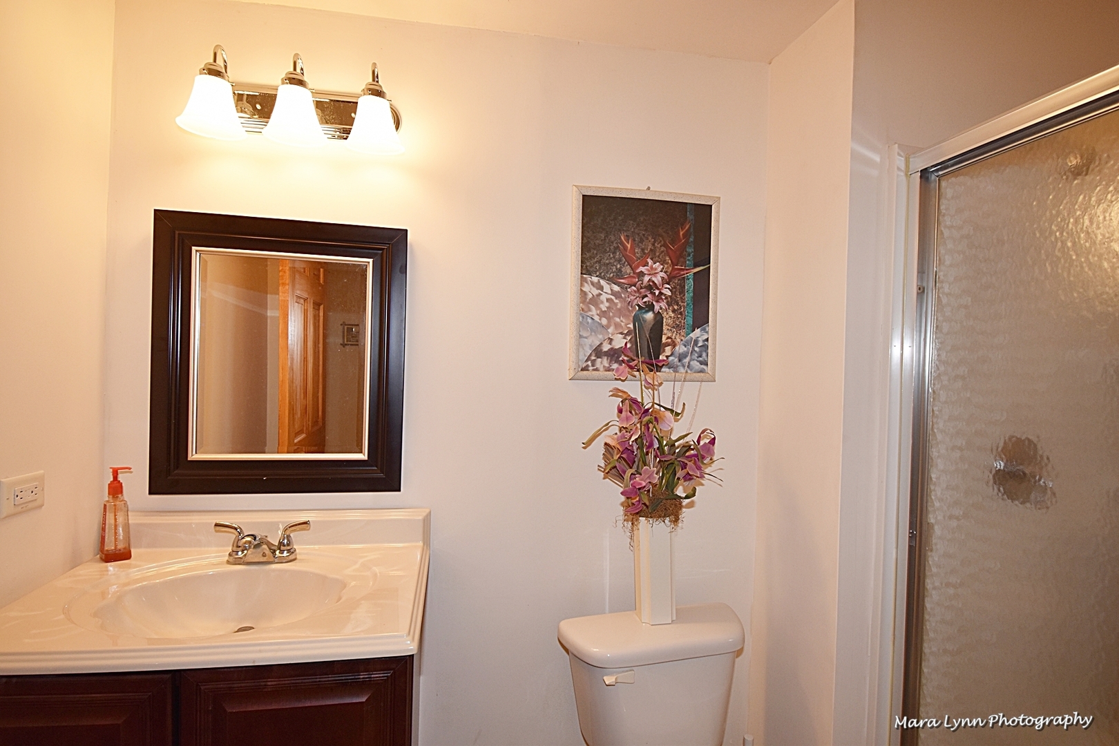3N853 Walt Whitman Road Campton Hills, IL 60175 - Photo 42 of 48 a bathroom with a sink a toilet and a mirror