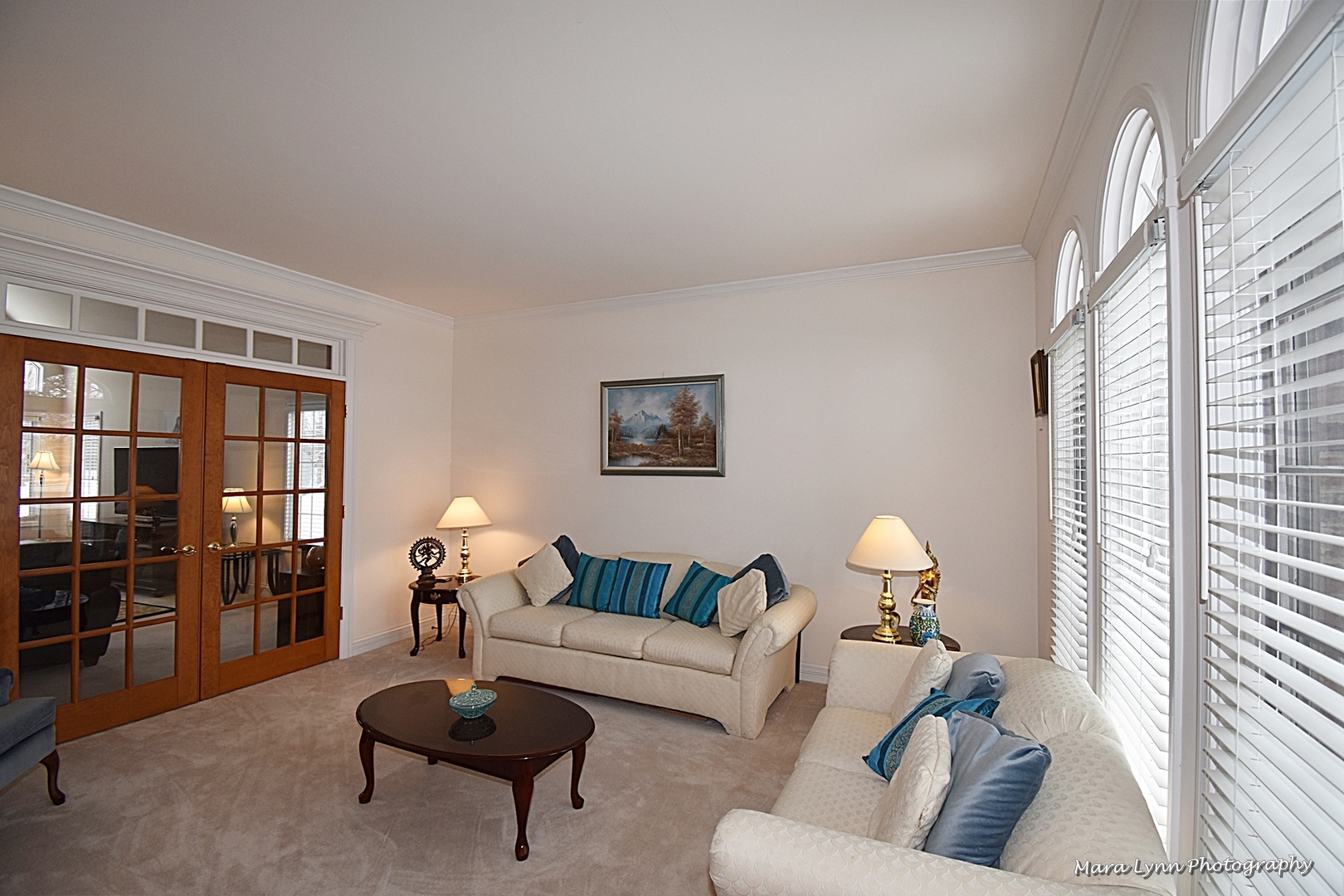 3N853 Walt Whitman Road Campton Hills, IL 60175 - Photo 7 of 48 a living room with furniture and a large window