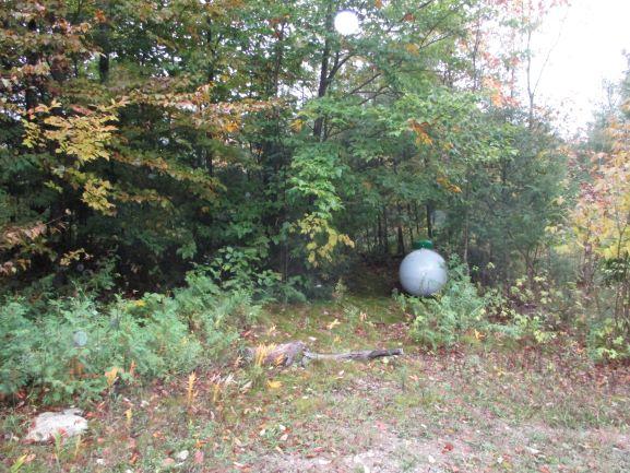 7447 Weiss Road Alpena, MI 49707 - Photo 2 of 10 Gallery Image 2