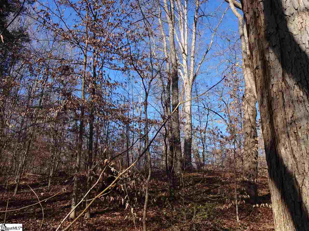 149 Berry Road Pelzer, SC 29669 - Photo 2 of 24