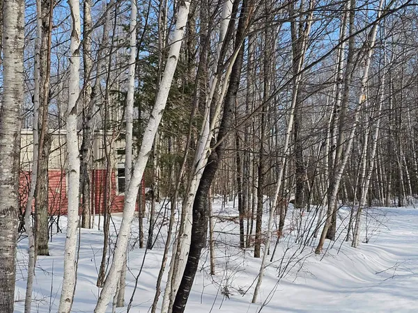 $235,000 | W7990 Herzog Road, Iron Mountain, MI 49801