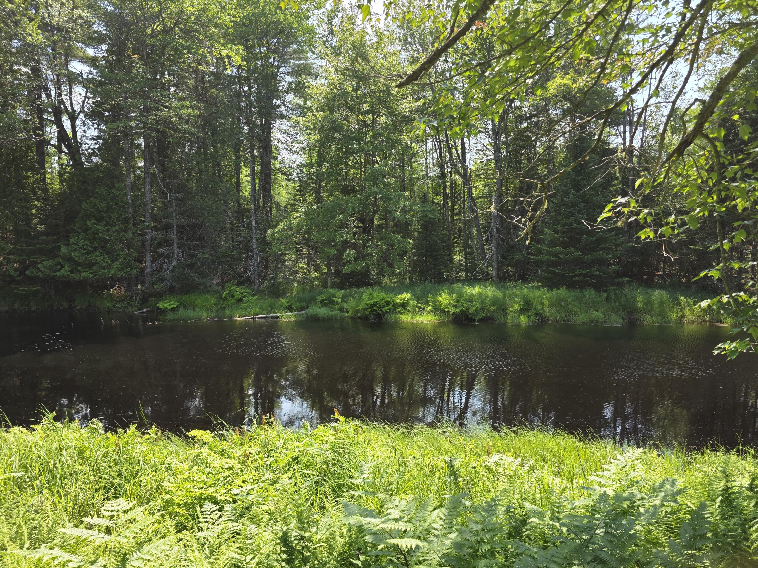 0 Brown Road Searsmont, ME 04973 - Photo 4 of 14 1000033551