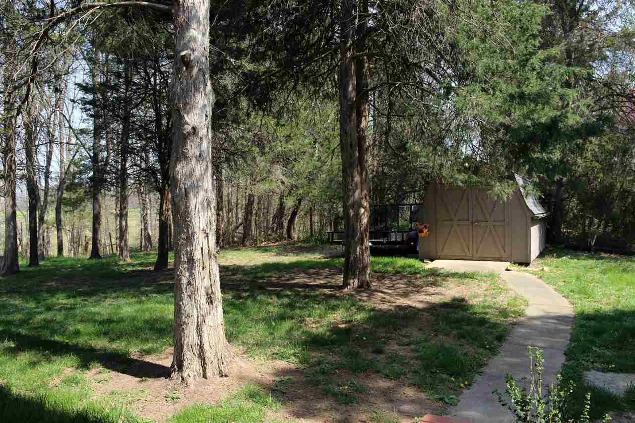 42 Eureka Mill Road Staunton, VA 24401 - Photo 29 of 29 a tree in the middle of a yard