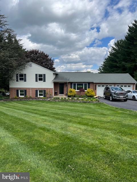 Professional photos coming