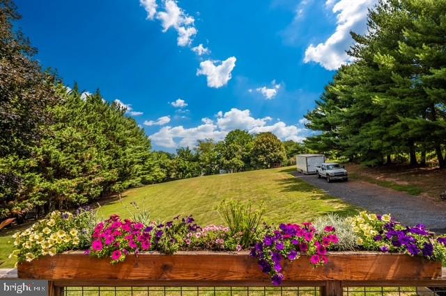 13448 Old Annapolis Road Mount Airy, MD 21771 - Photo 7 of 7 Look how beautiful