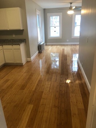 32 Forest Street Springfield, MA 01108 - Photo 8 of 30
