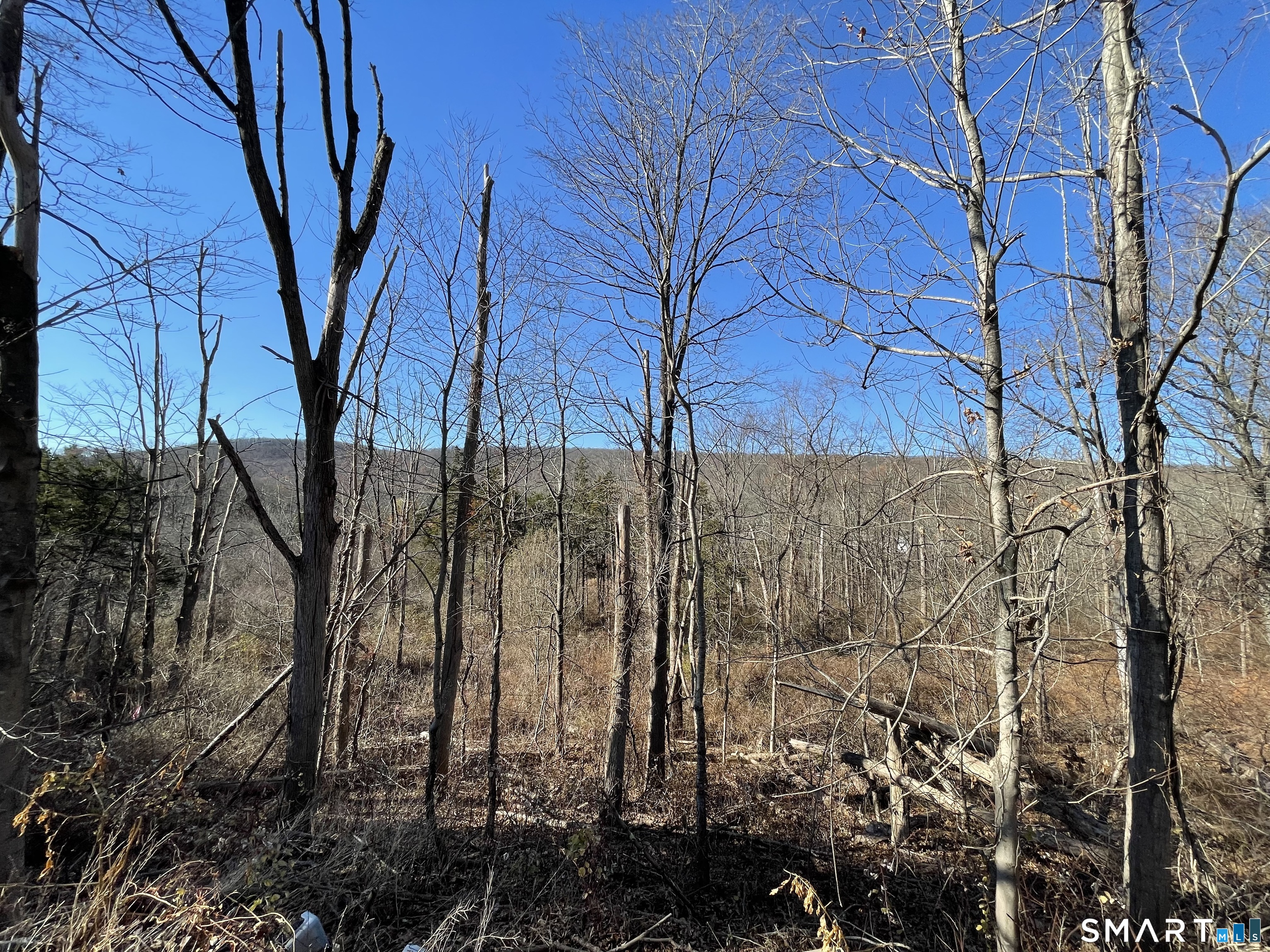 391 R Stage Coach Road Durham, CT 06422 - Photo 7 of 8 wooded area to the West / South West of approved build site.