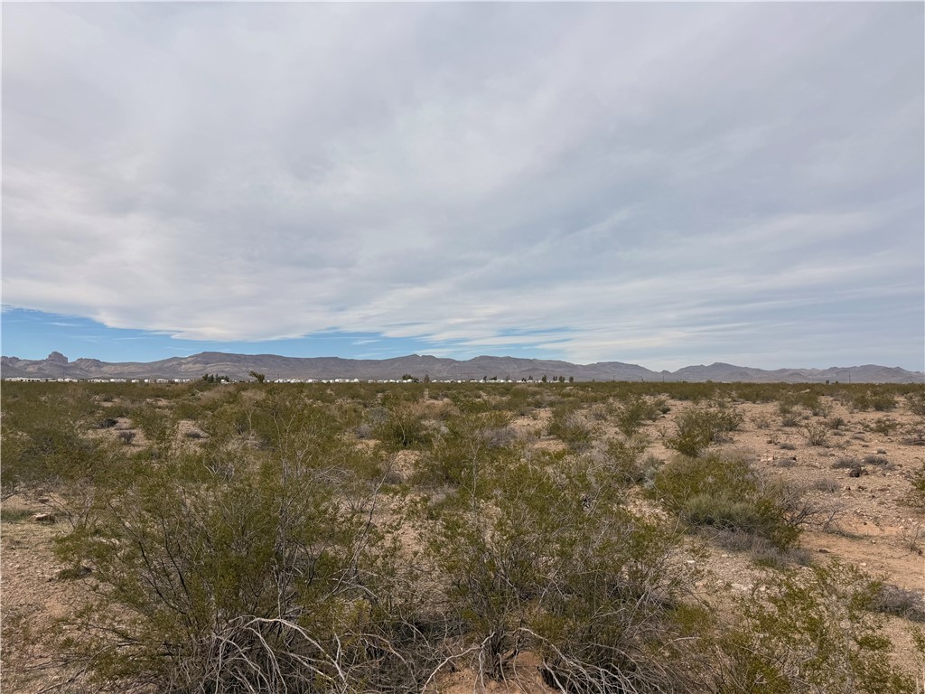 40-ac North Egar Road Golden Valley, AZ 86413 - Photo 7 of 17 Gallery Image 7