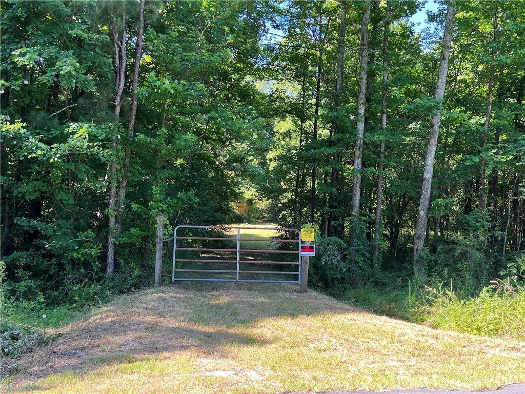 2189 Lovebridge Road Southeast Fairmount, GA 30139 - Photo 1 of 1 a view of outdoor space and yard