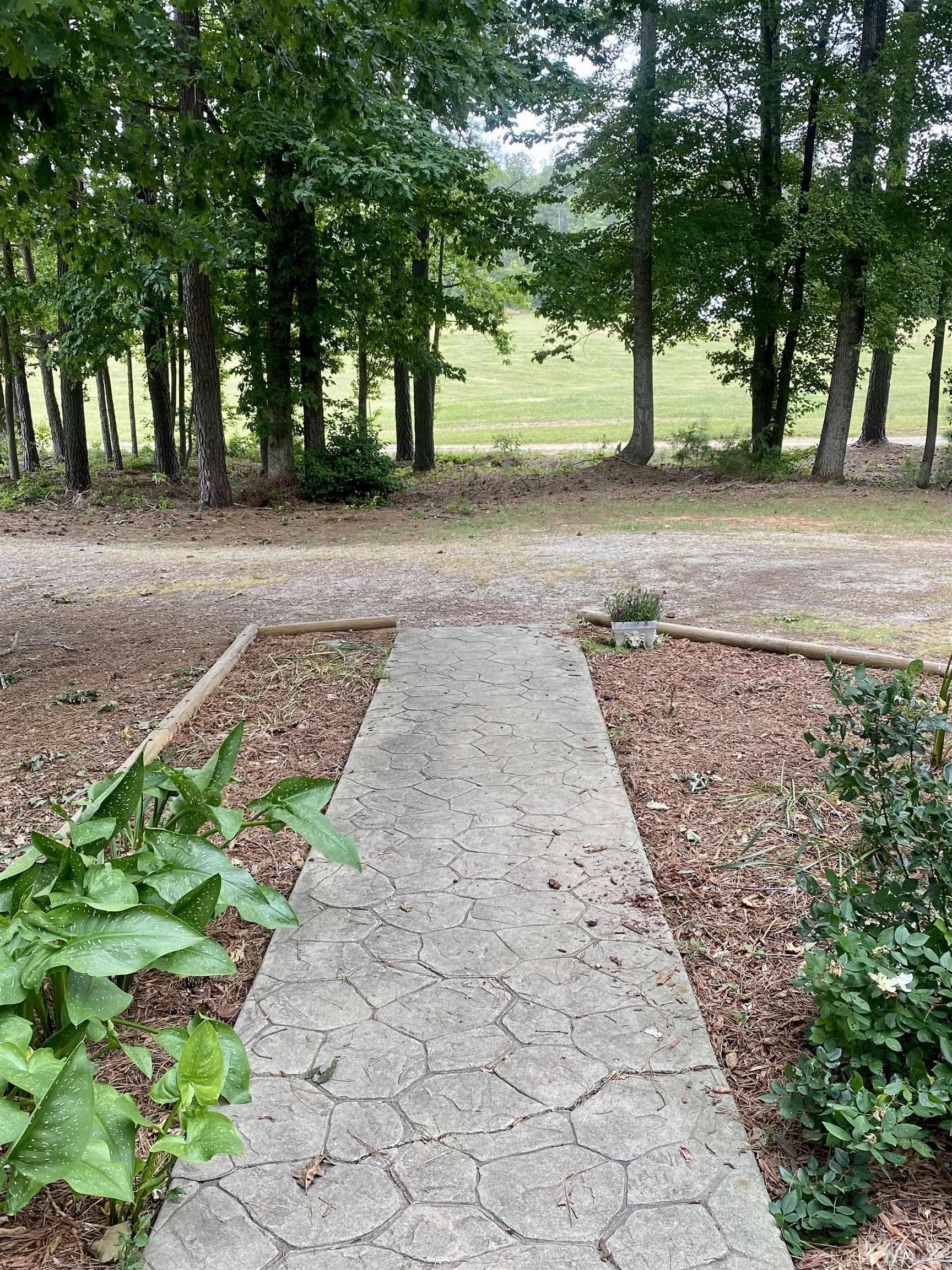 1887 Burnside Road Oxford, NC 27565 - Photo 28 of 42 a view of a yard with plants and trees