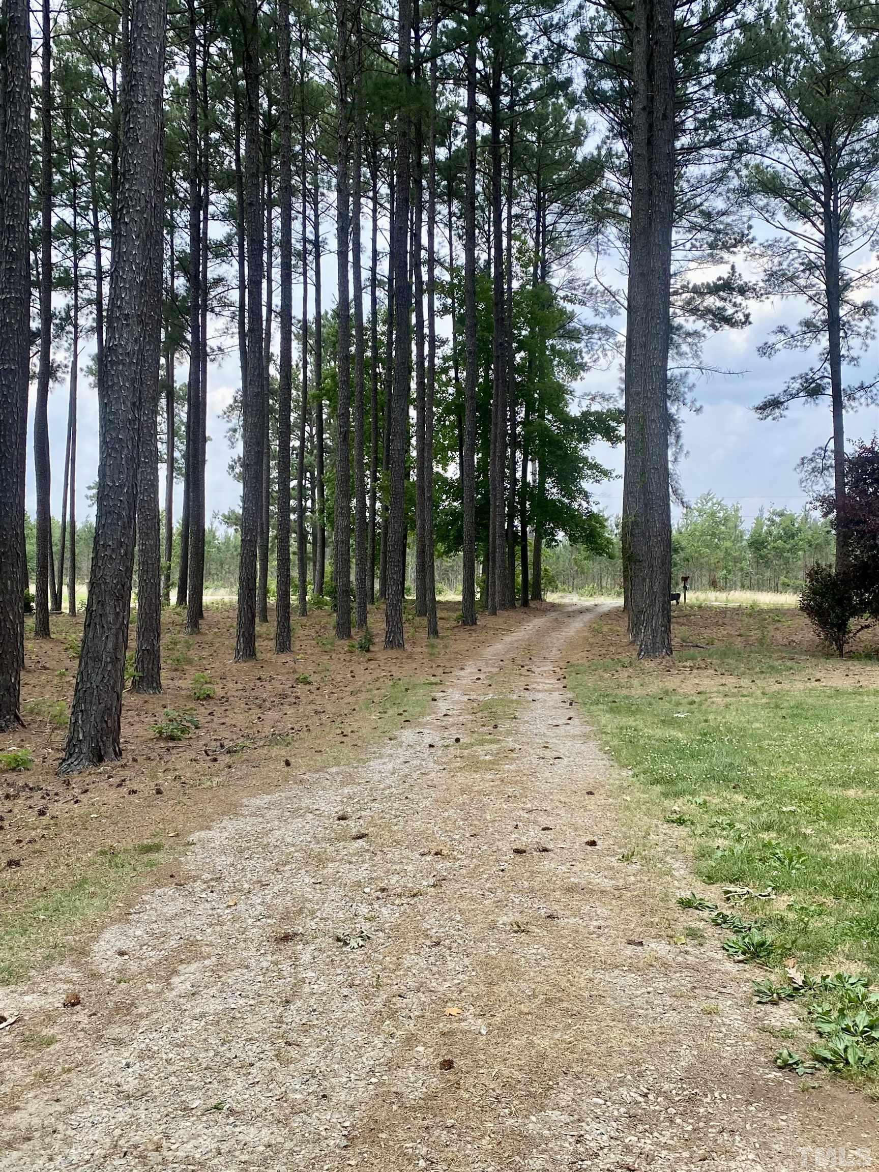 1887 Burnside Road Oxford, NC 27565 - Photo 3 of 42 a view of outdoor space with trees