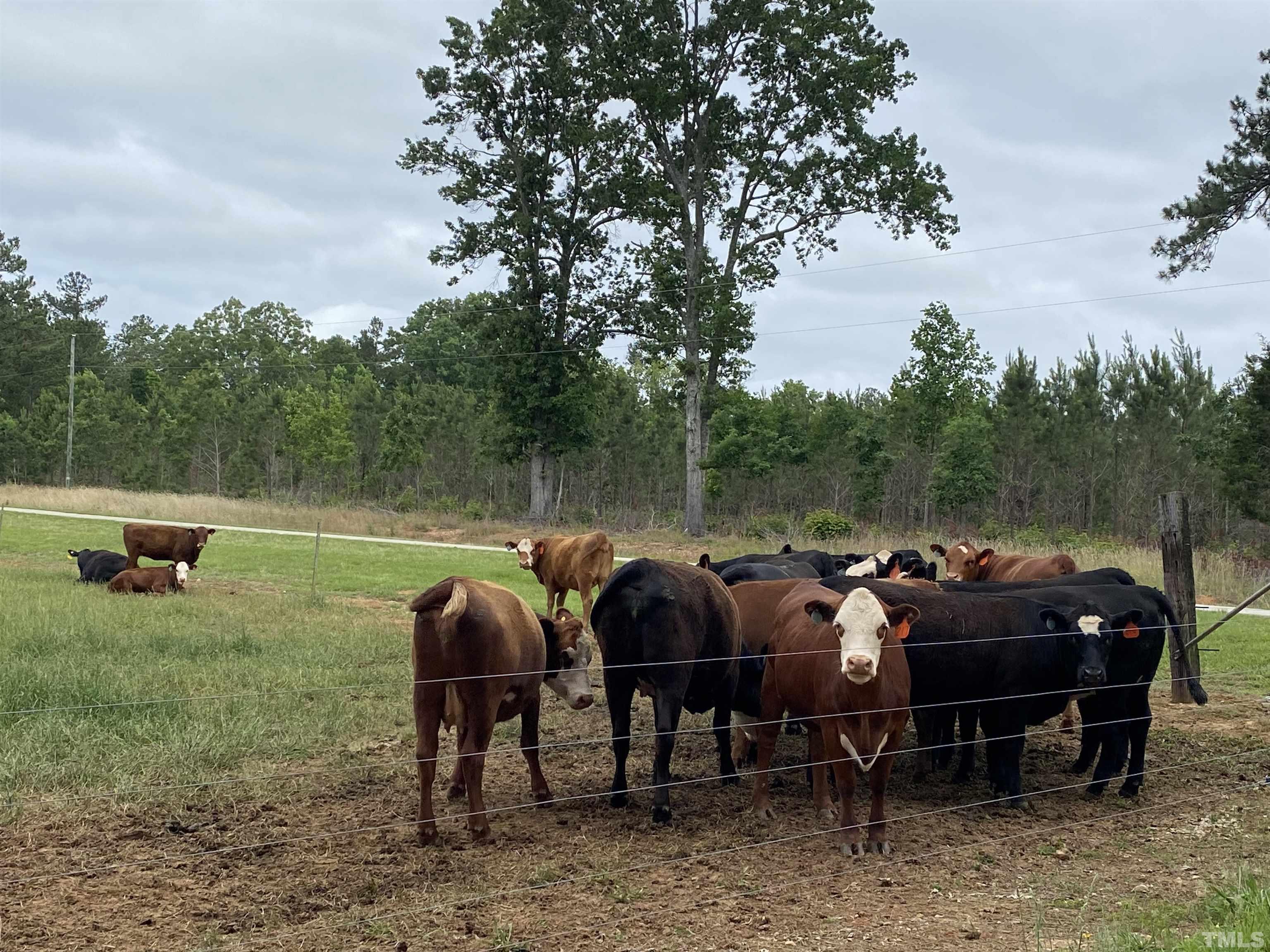 1887 Burnside Road Oxford, NC 27565 - Photo 40 of 42 a front view of a house with garden and patio