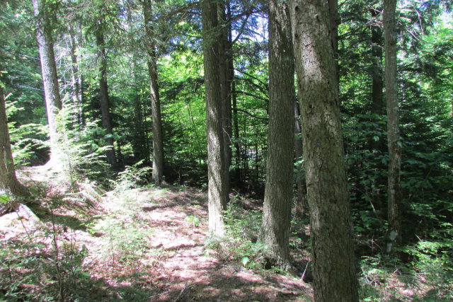 0 Round Top Road Keene, NY 12942 - Photo 3 of 8 Gallery Image 3