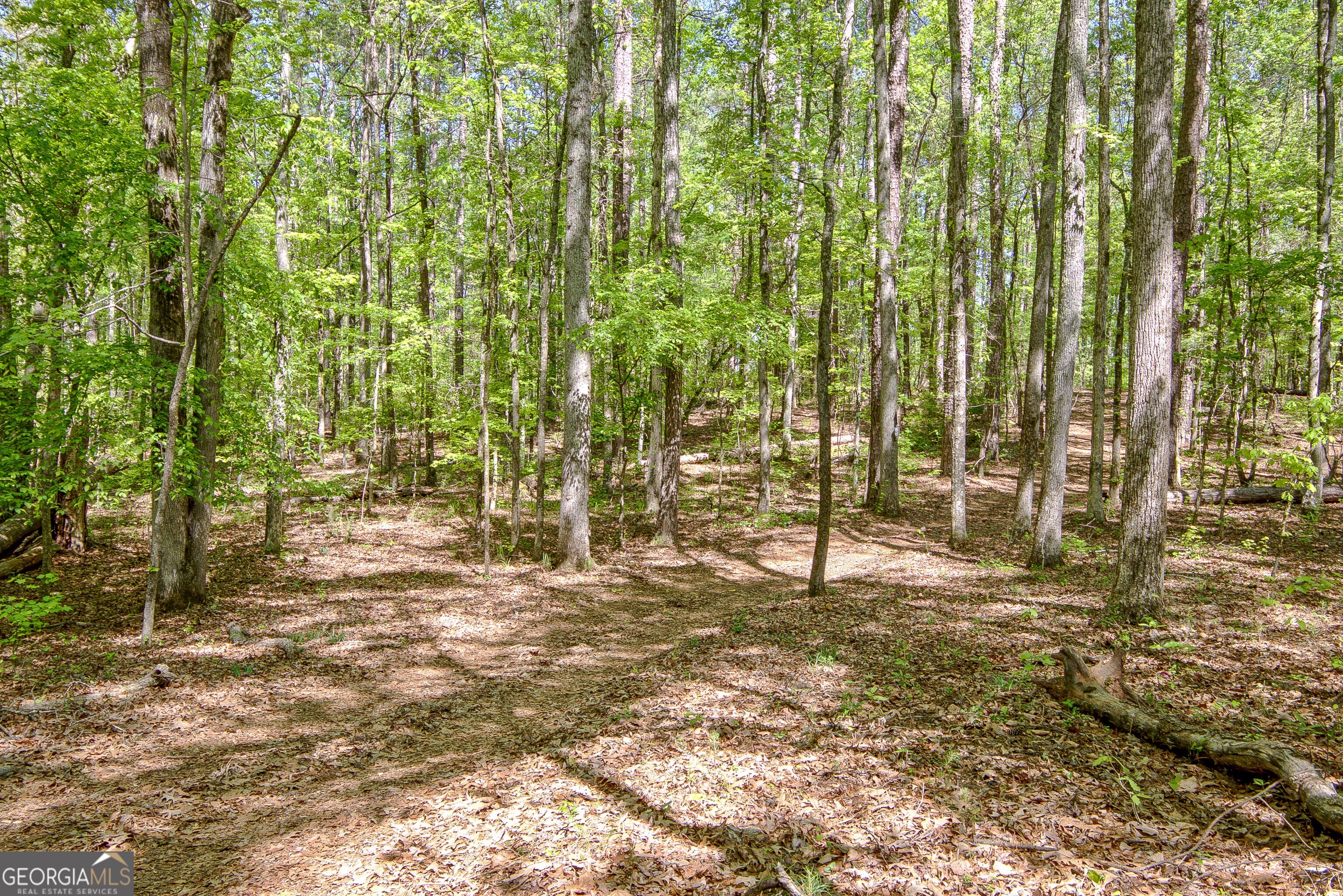 404 Tranquil Cemetary Road Senoia, GA 30276 - Photo 62 of 66
