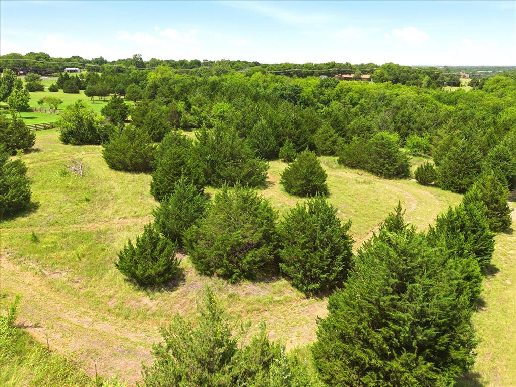 3549 North Stodghill Road Fate, TX 75087 - Photo 11 of 18 Plenty of space for your home, barn and more!