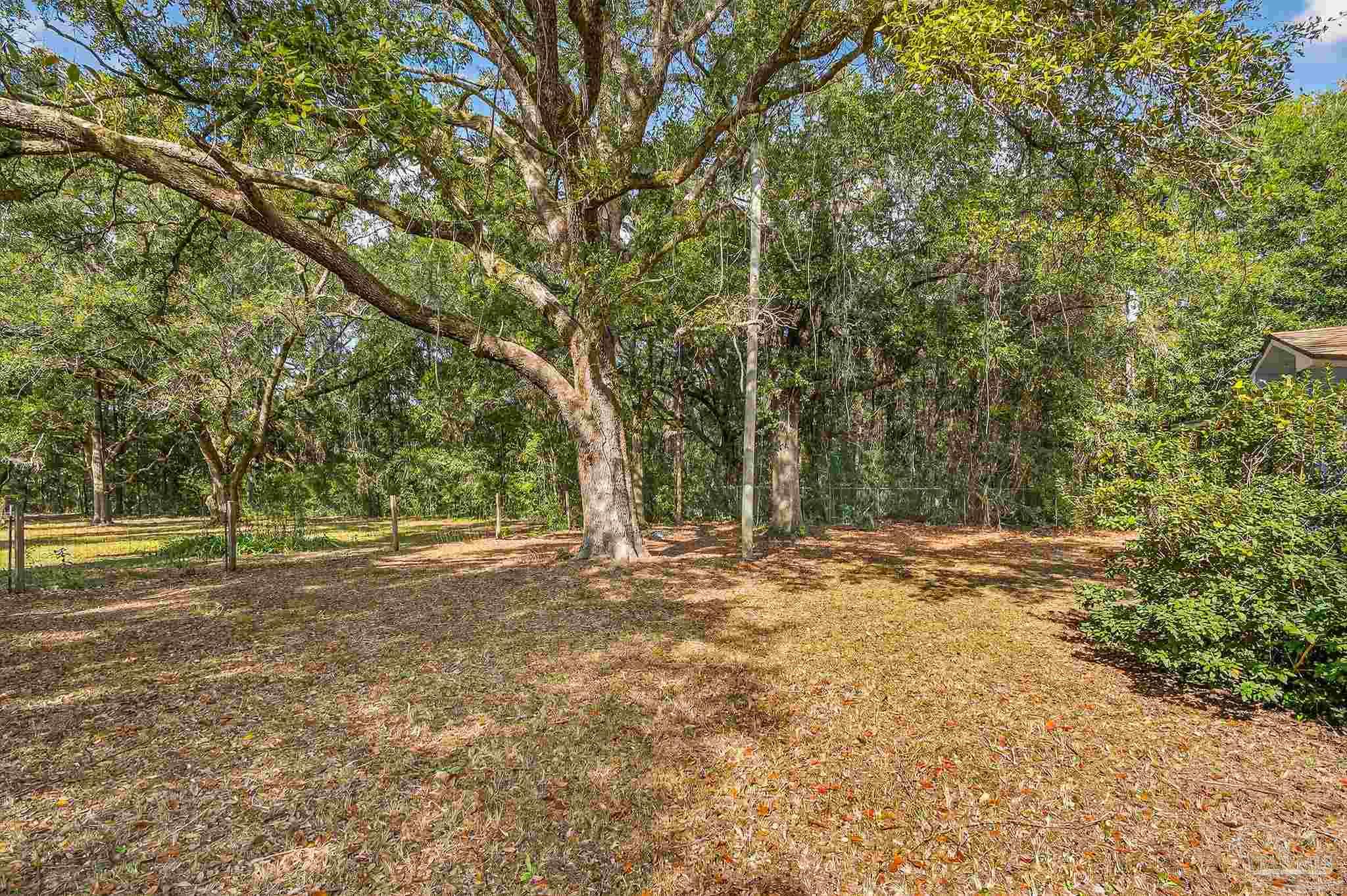 4771 Carl Booker Road Milton, FL 32583 - Photo 61 of 65 a view of a yard with a tree