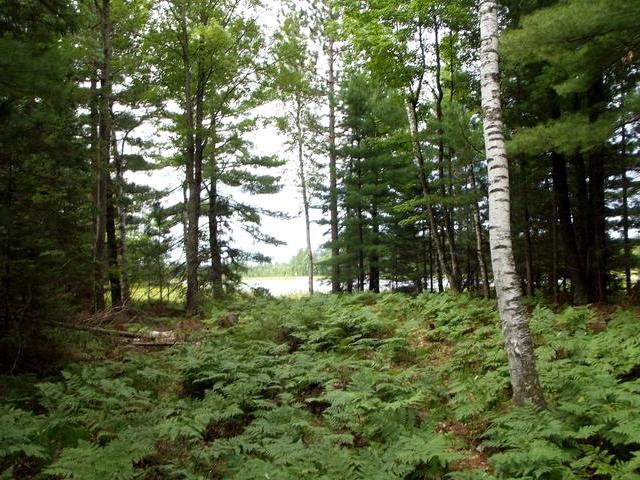 On Sand Lake Road, Unit LOT 3 Eagle River, WI 54521 - Photo 2 of 4 Gallery Image 2