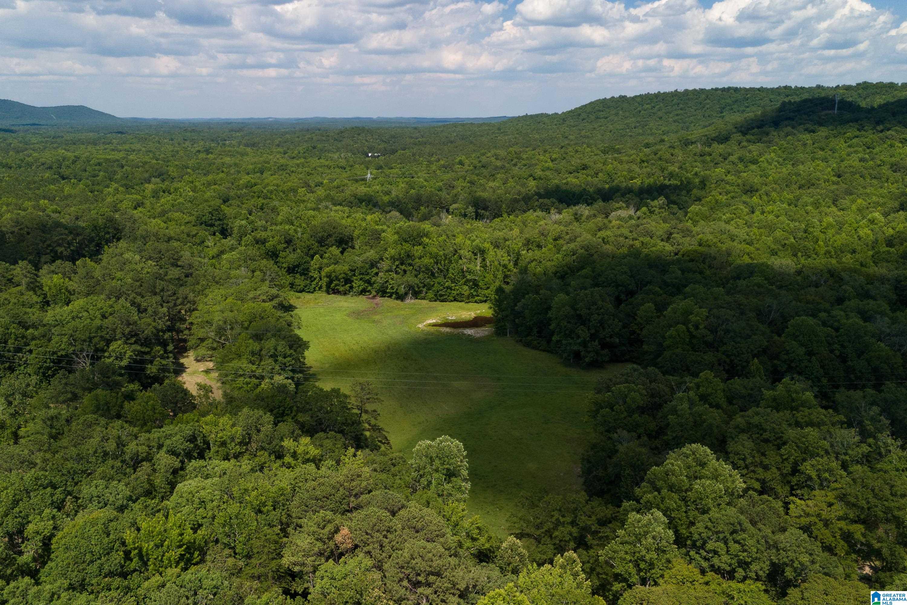 9314 Bear Creek Road Sterrett, AL 35147 - Photo 99 of 100