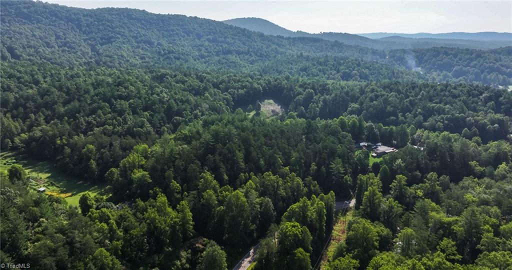 Tbd Boone Trail Purlear, NC 28665 - Photo 30 of 45