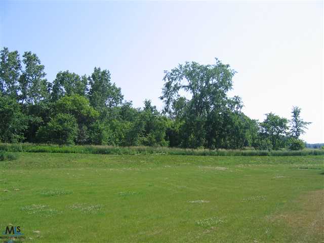 7722 Capac Road Yale, MI 48097 - Photo 11 of 12 This is a view of the yard.