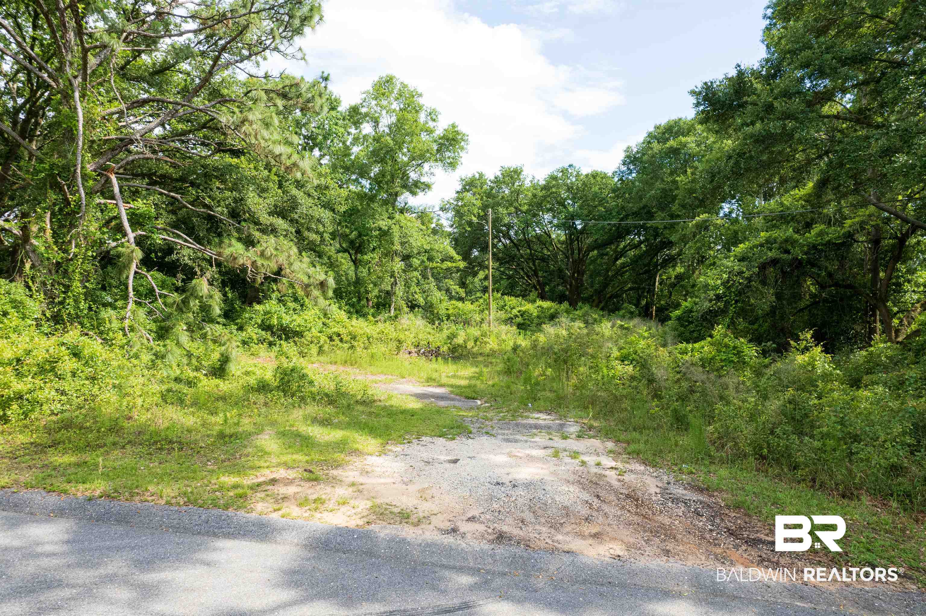 6861 Barnes Road Theodore, AL 36582 - Photo 2 of 12