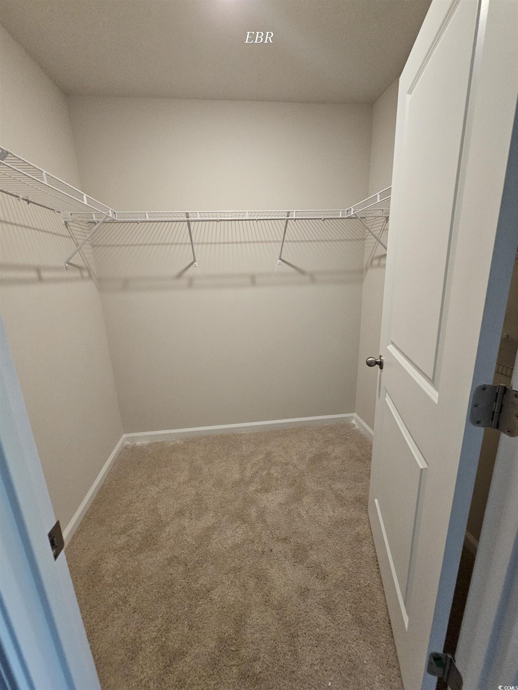 370 Jeff Waters Circle Longs, SC 29568 - Photo 10 of 14 Spacious closet featuring carpet