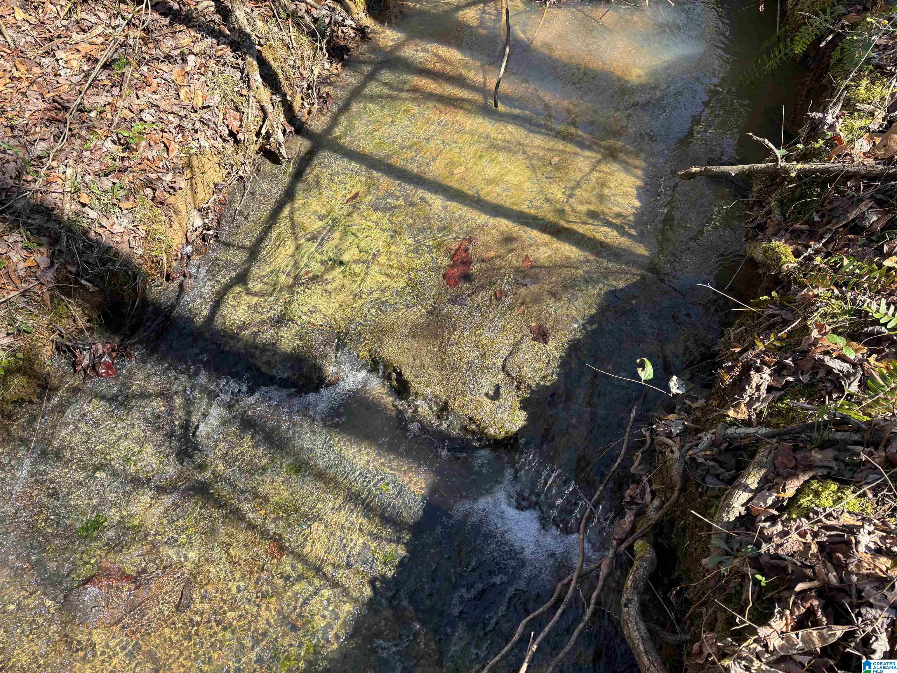 7380 Narrows Road, Unit 148 / ACRES Pinson, AL 35126 - Photo 5 of 22