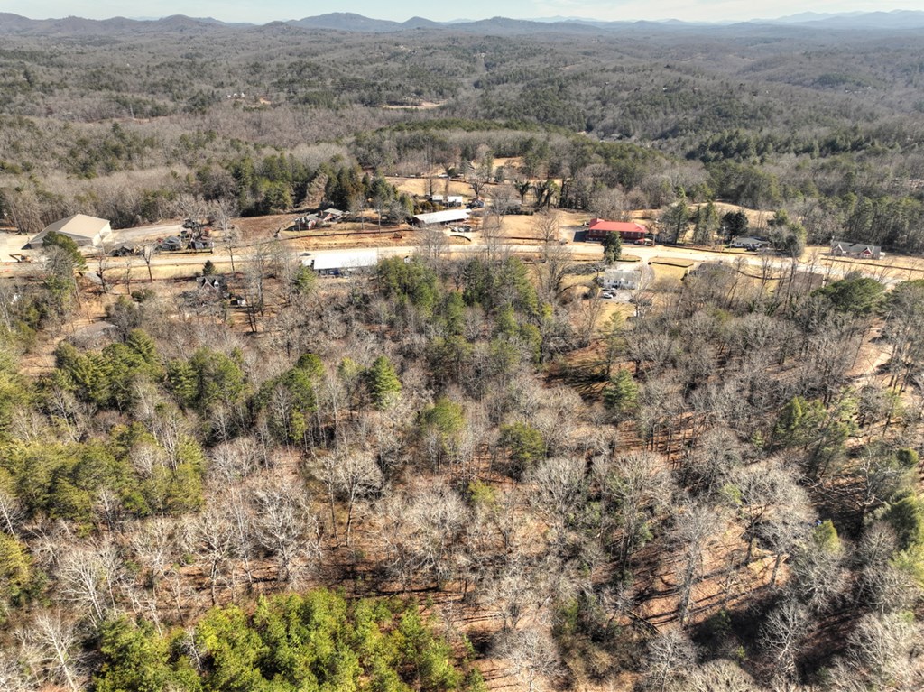 3.12-acs Blue Ridge Drive Blue Ridge, GA 30513 - Photo 16 of 20 Gallery Image 16
