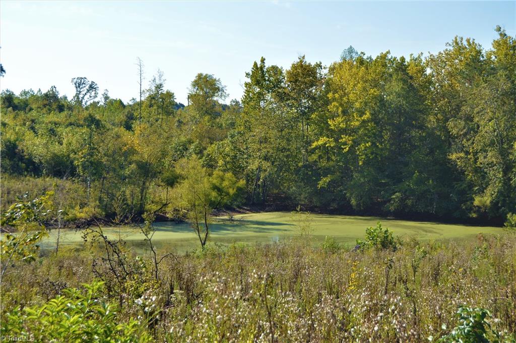 635 Odell Road Mayodan, NC 27027 - Photo 14 of 22 Gallery Image 14