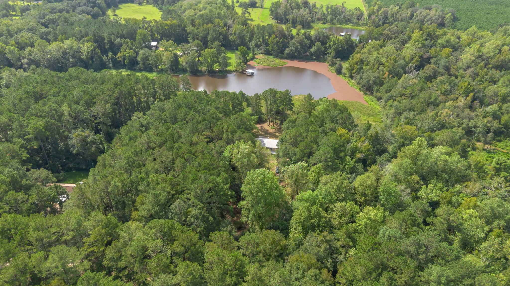 796 Springbrook Road Havana, FL 32333 - Photo 51 of 55 Gallery Image 51
