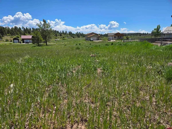 a view of a green field