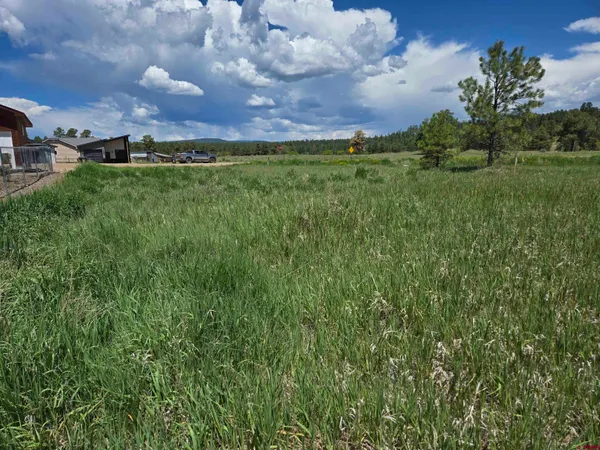 a view of a big yard with a house in the background