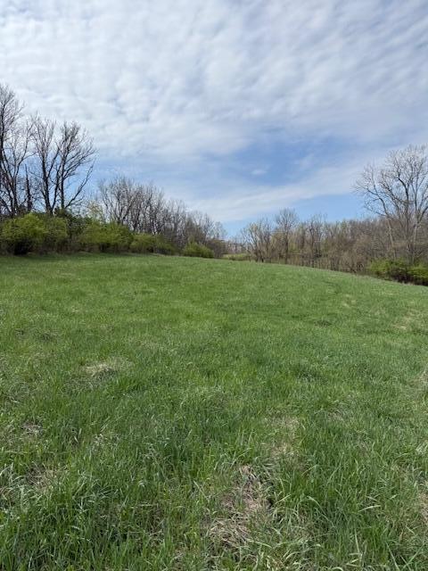 2418-1 Hempfling Road Morning View, KY 41063 - Photo 6 of 28