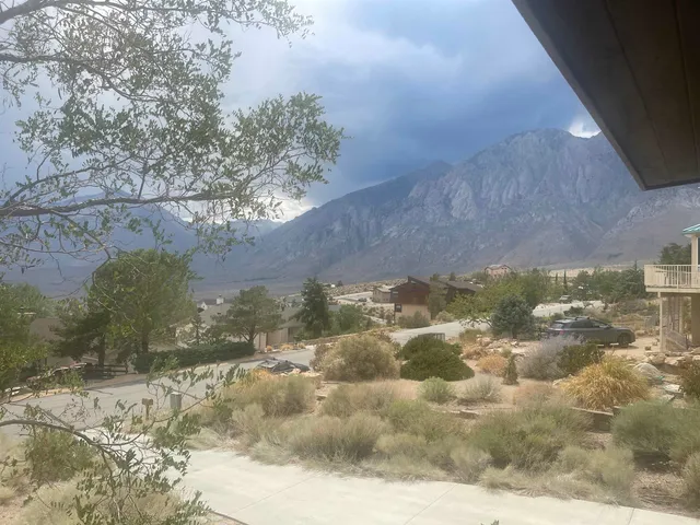 a view of a town with trees in the background