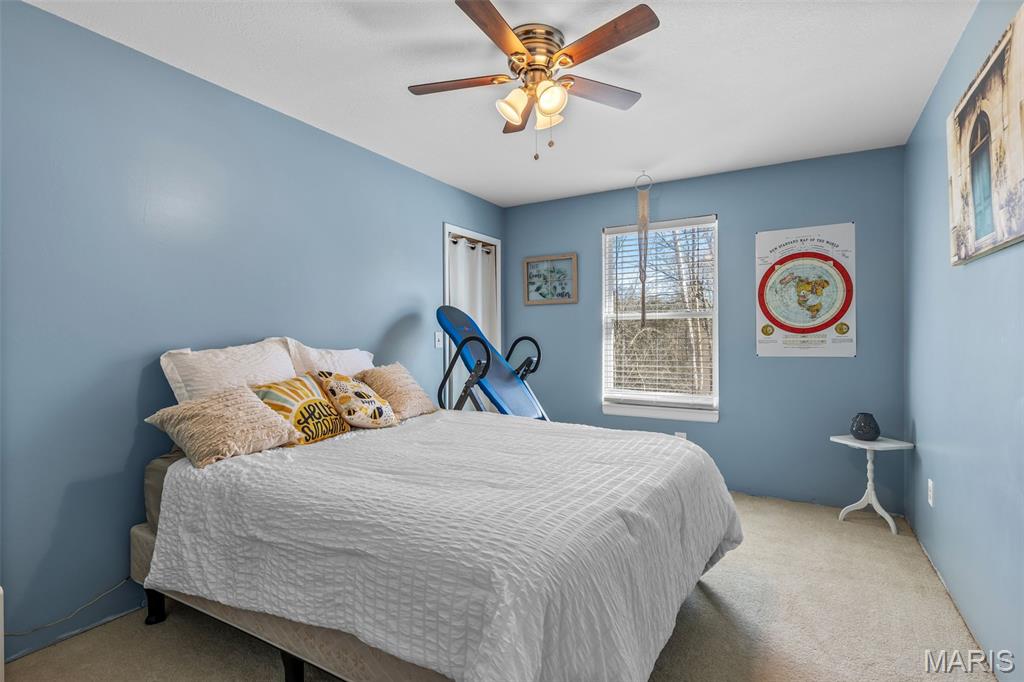 3414 Shamrock Road Festus, MO 63028 - Photo 22 of 44