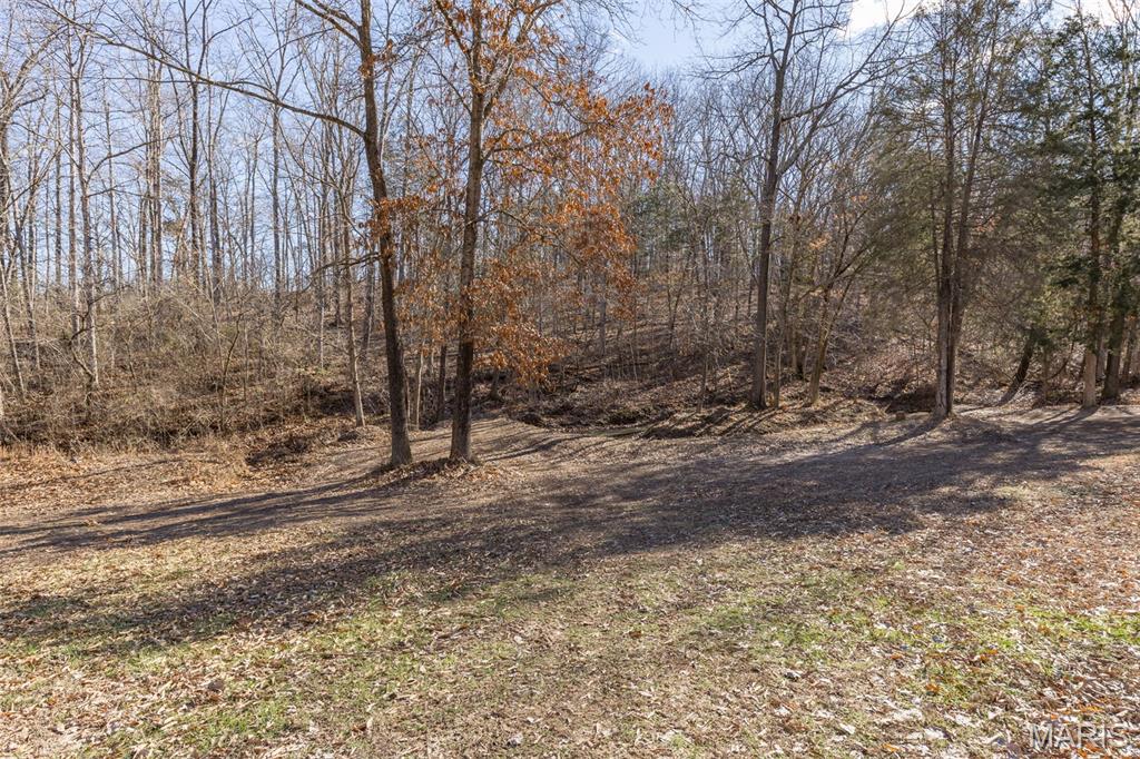 3414 Shamrock Road Festus, MO 63028 - Photo 6 of 44