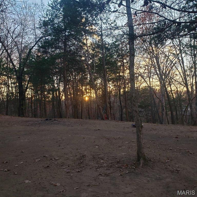 3414 Shamrock Road Festus, MO 63028 - Photo 9 of 44